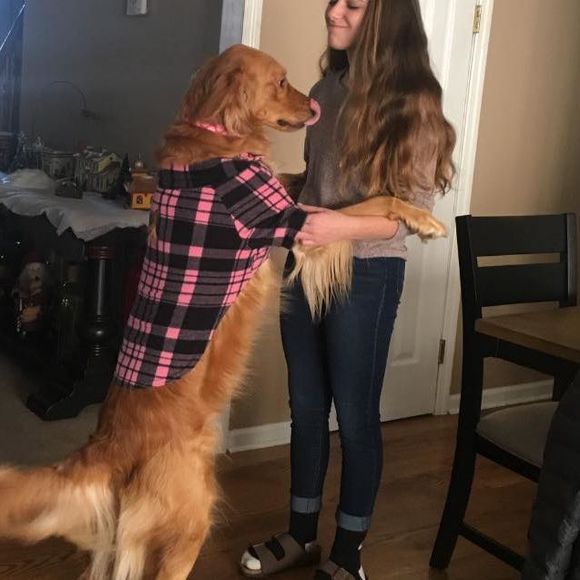 Meet your Posher, Haley - Picture 1 of 1